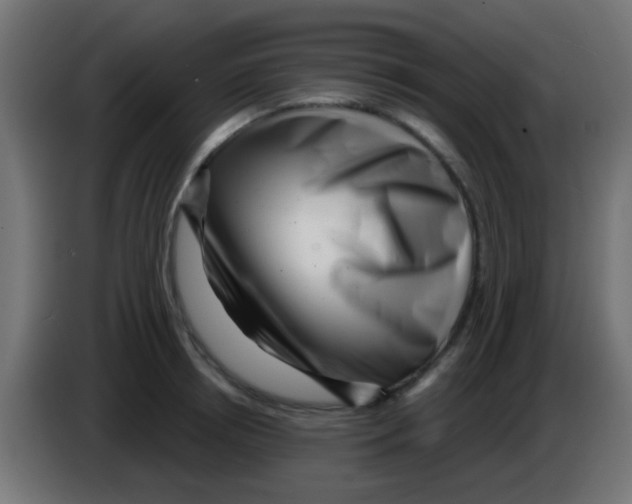 X0000083050850200703022109