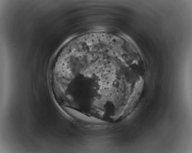 X0000083050851200703022109