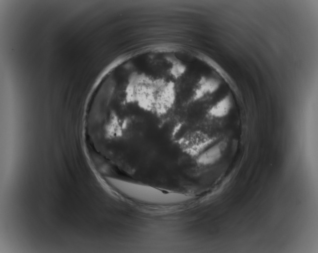 X0000083050853200703022109