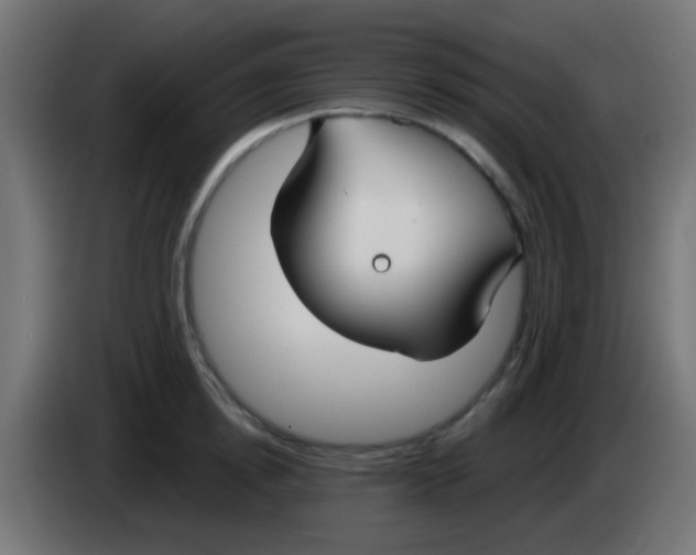 X0000083050854200703022109