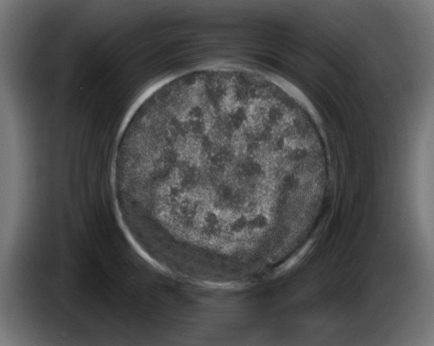 X0000083050855200703022109