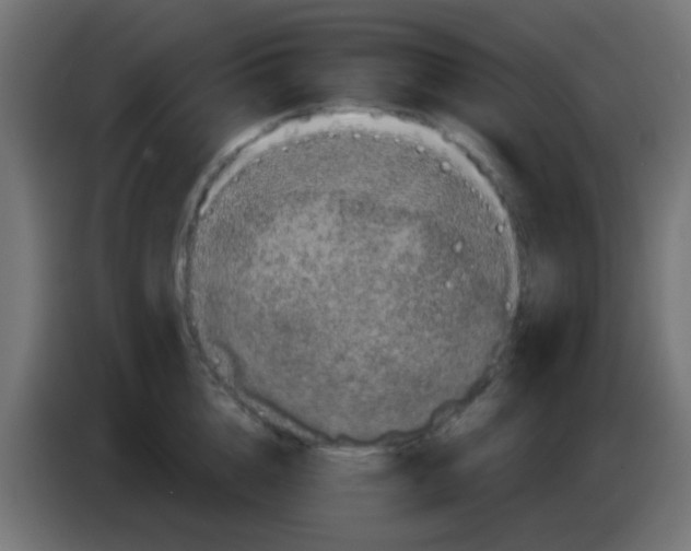 X0000083050856200703022109