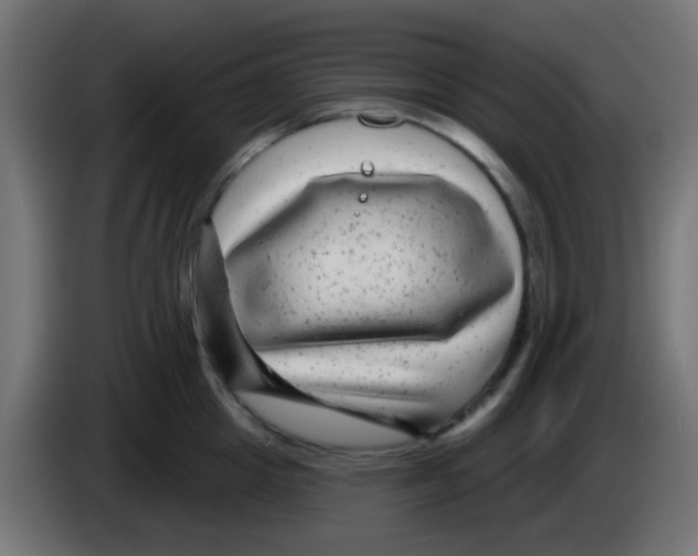 X0000083050857200703022109