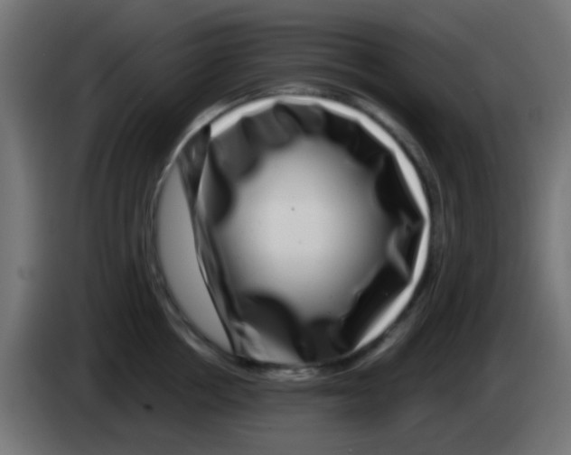 X0000083050858200703022109