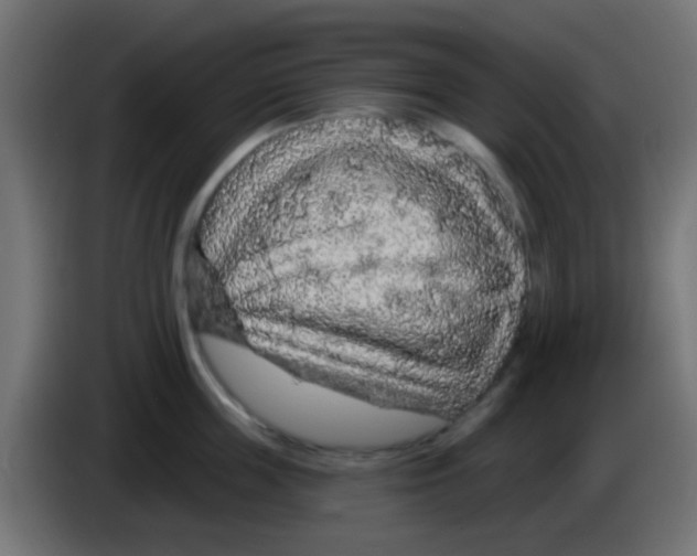 X0000083050859200703022109