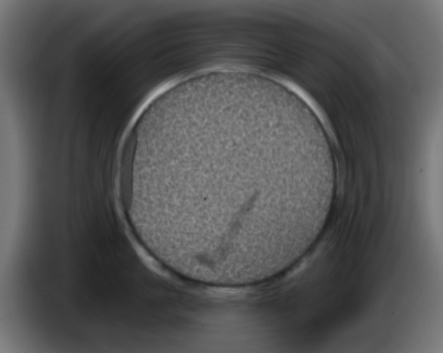 X0000083050861200703022109