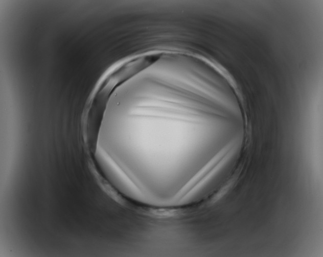 X0000083050862200703022109