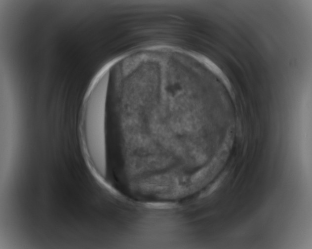 X0000083050863200703022109