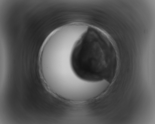 X0000083050864200703022109