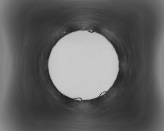 X0000083050865200703022108