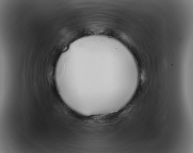 X0000083050867200703022108