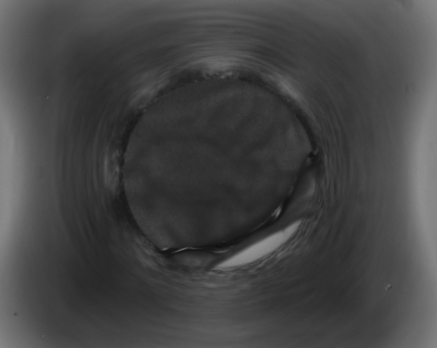 X0000083050868200703022108