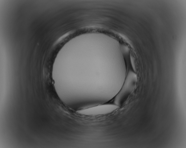 X0000083050872200703022108