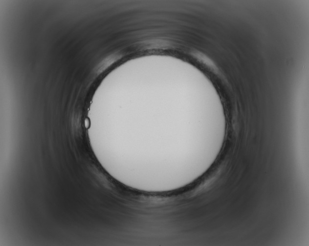 X0000083050873200703022108