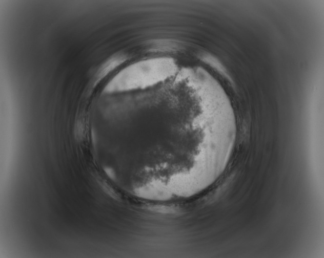 X0000083050874200703022108