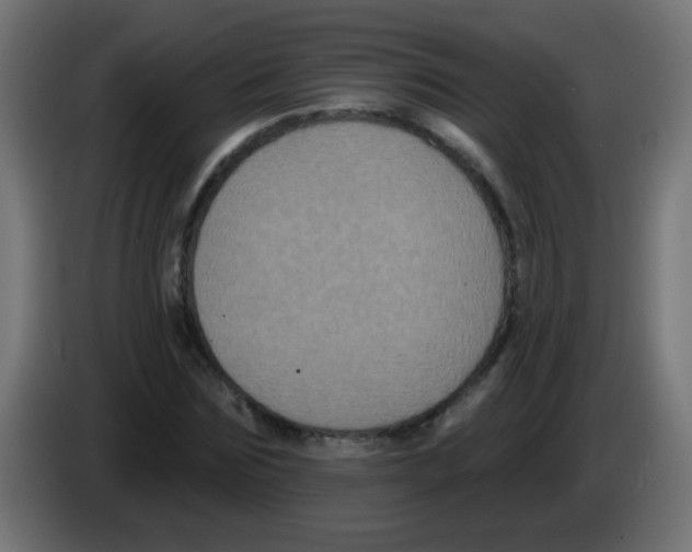 X0000083050875200703022108