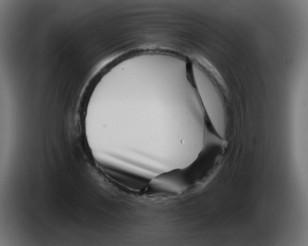 X0000083050876200703022108