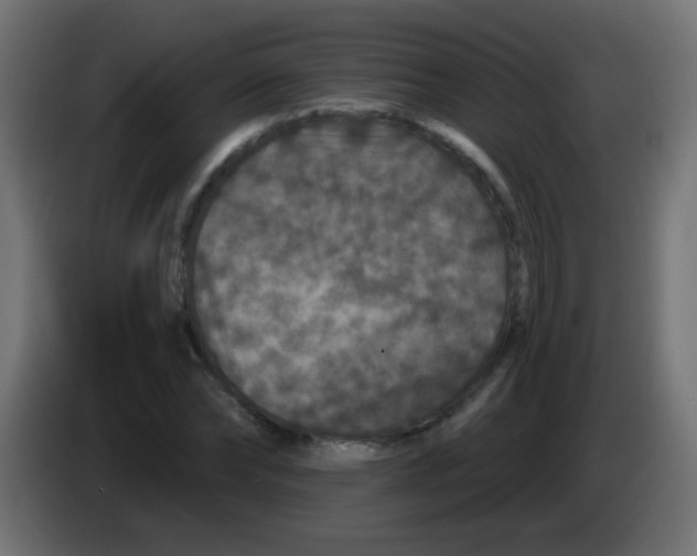 X0000083050878200703022108