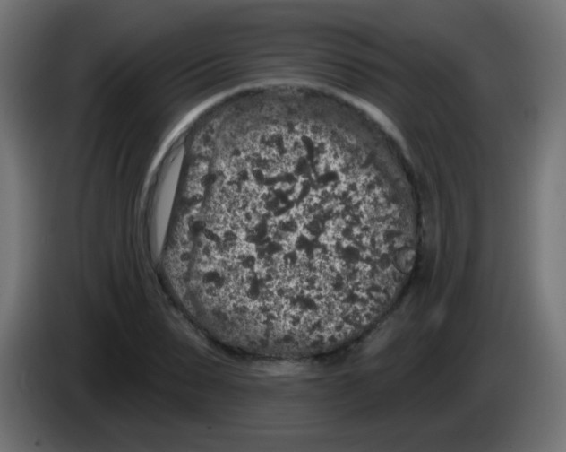 X0000083050879200703022108