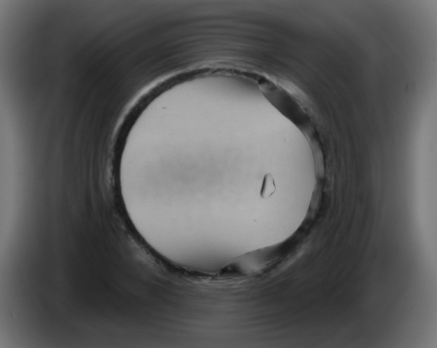 X0000083050880200703022108