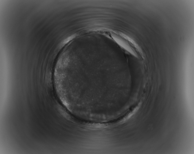 X0000083050881200703022108