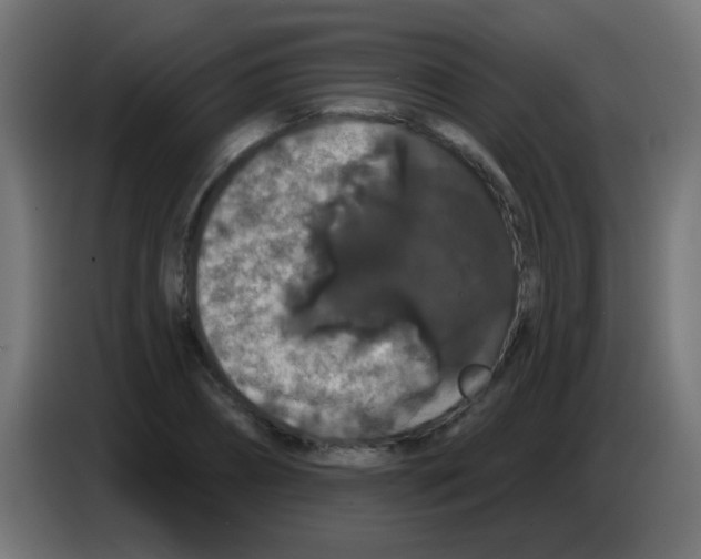 X0000083050882200703022108