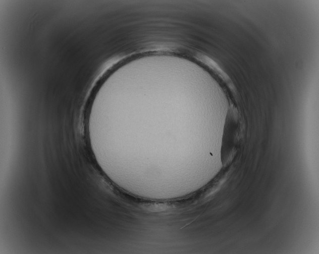 X0000083050883200703022108