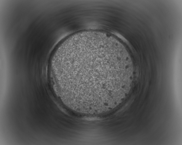 X0000083050886200703022108