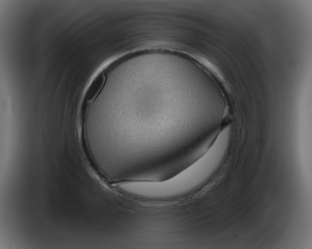 X0000083050888200703022108