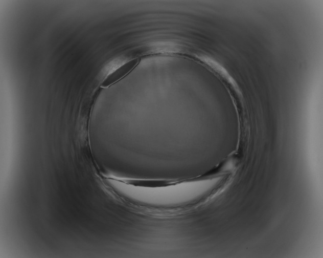 X0000083050889200703022108