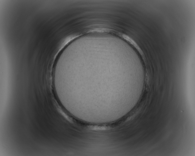 X0000083050890200703022108