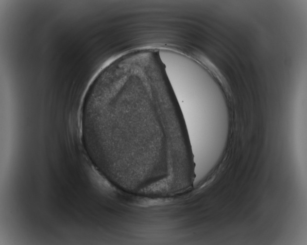 X0000083050892200703022108