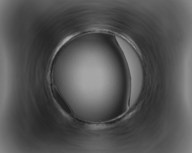 X0000083050893200703022108