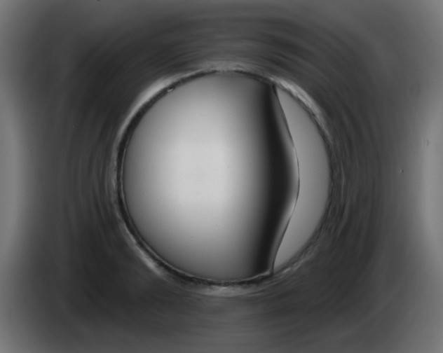 X0000083050894200703022108