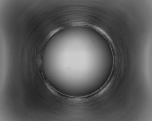 X0000083050897200703022108