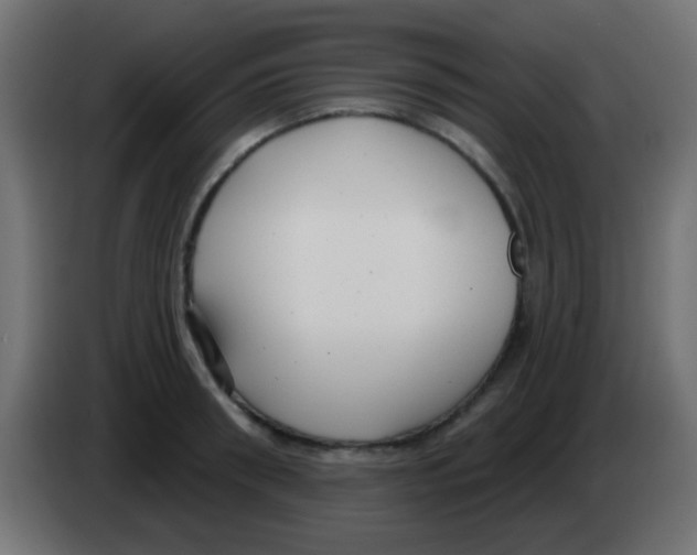 X0000083050898200703022108