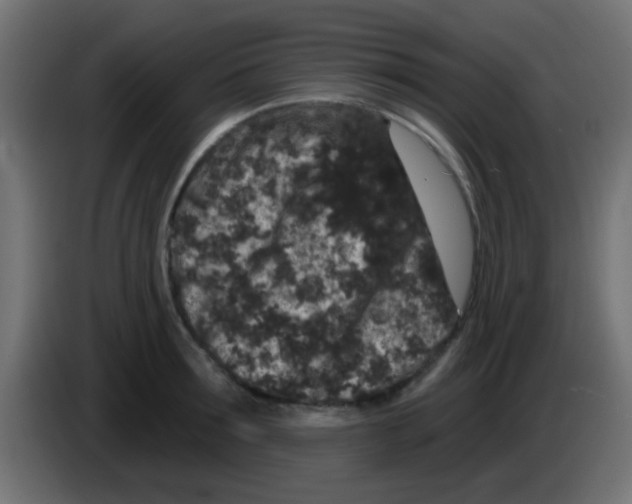 X0000083050899200703022108