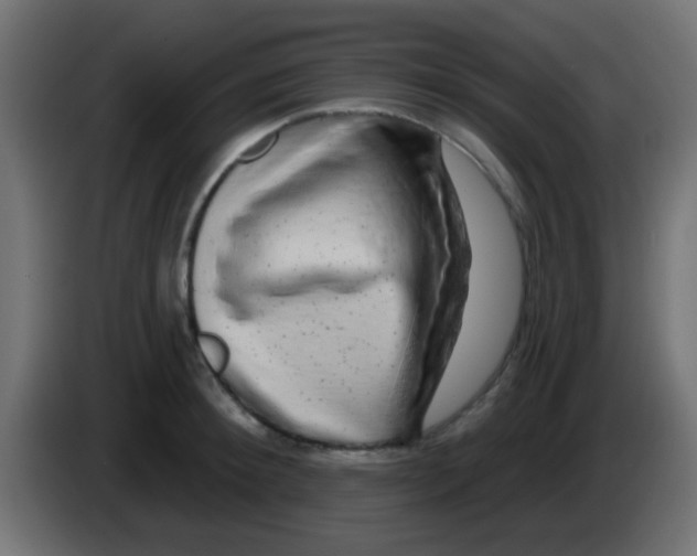 X0000083050900200703022108