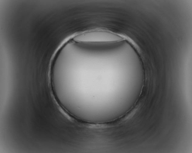 X0000083050902200703022108