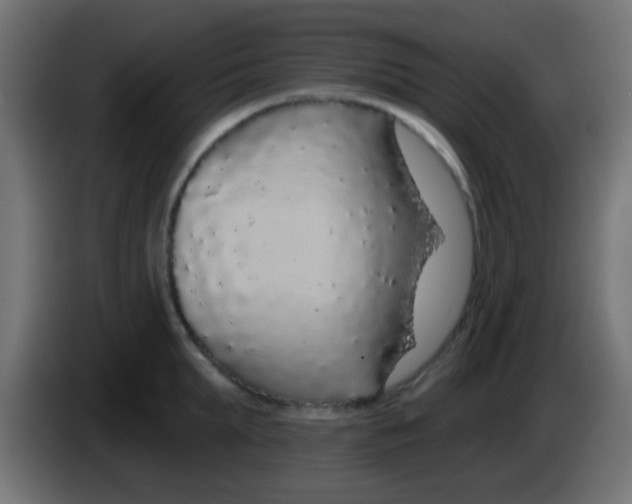 X0000083050903200703022108