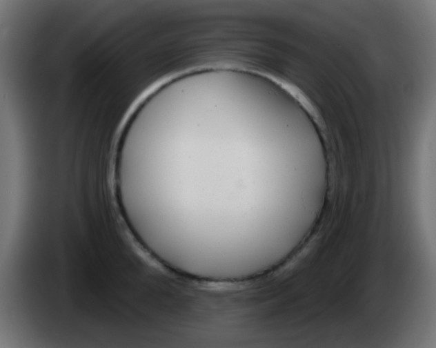 X0000083050904200703022108