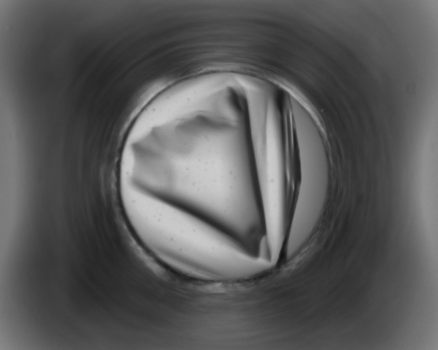 X0000083050906200703022108