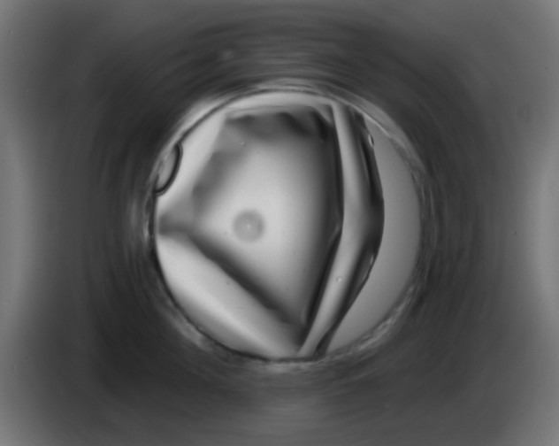 X0000083050908200703022108