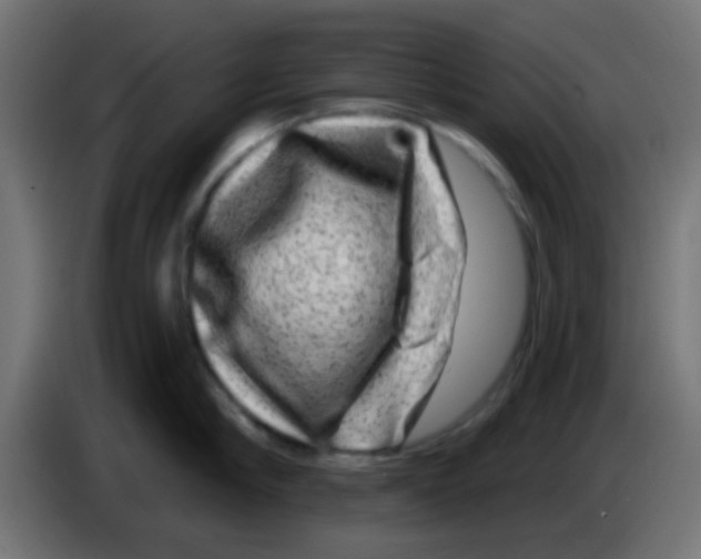 X0000083050910200703022108