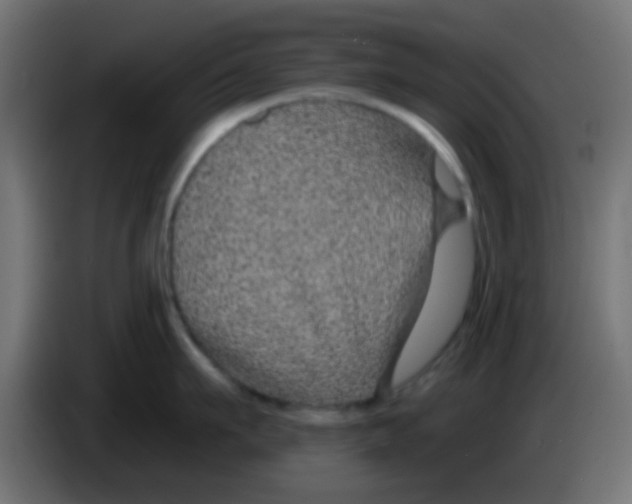 X0000083050911200703022108