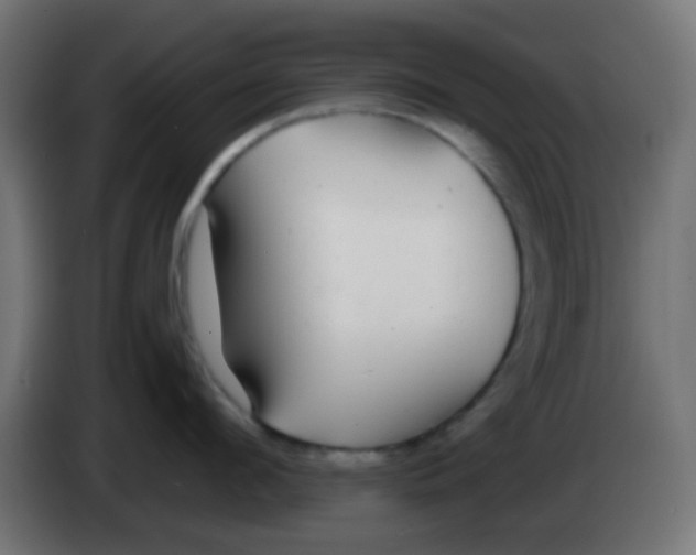 X0000083050912200703022108