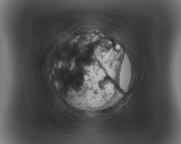 X0000083050913200703022107