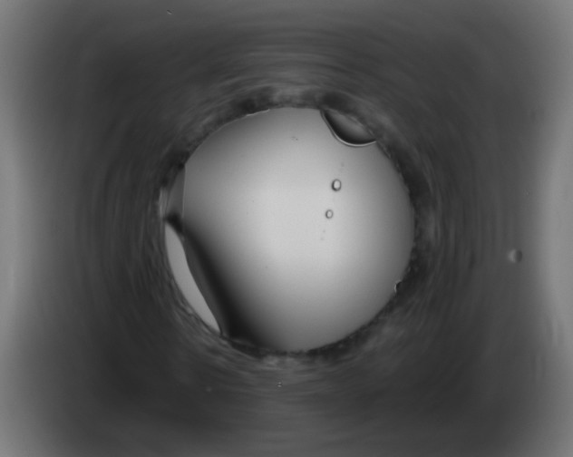 X0000083050914200703022107