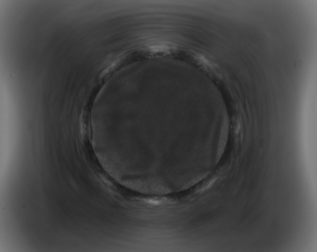 X0000083050916200703022107