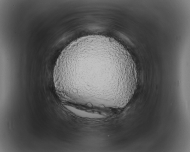 X0000083050917200703022107